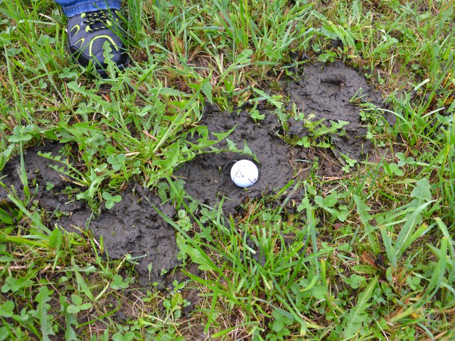 Golfen